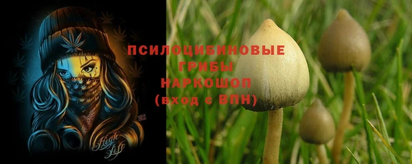 Альфа ПВП Алзамай