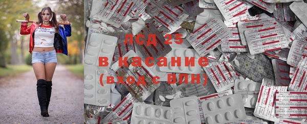 apvp Алексин