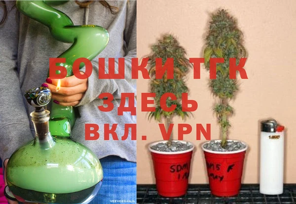 apvp Алексин