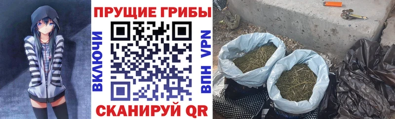 Псилоцибиновые грибы Psilocybine cubensis мориарти формула Шебекино